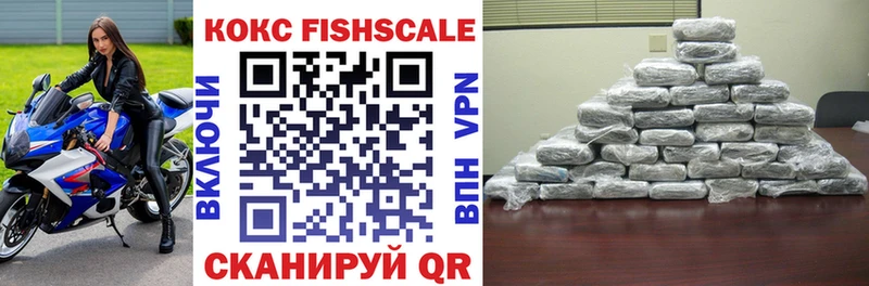 Купить  Заводоуковск  COCAIN Fish Scale 
