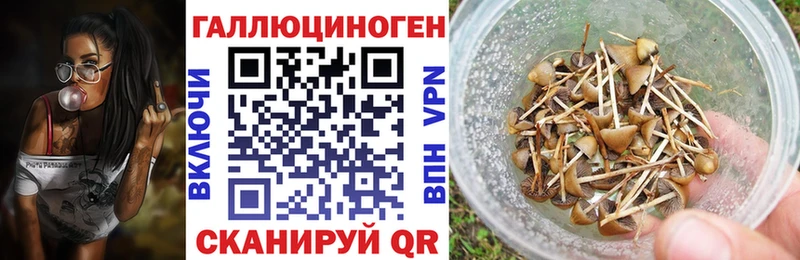 Купить  Заводоуковск  Галлюциногенные грибы Cubensis 